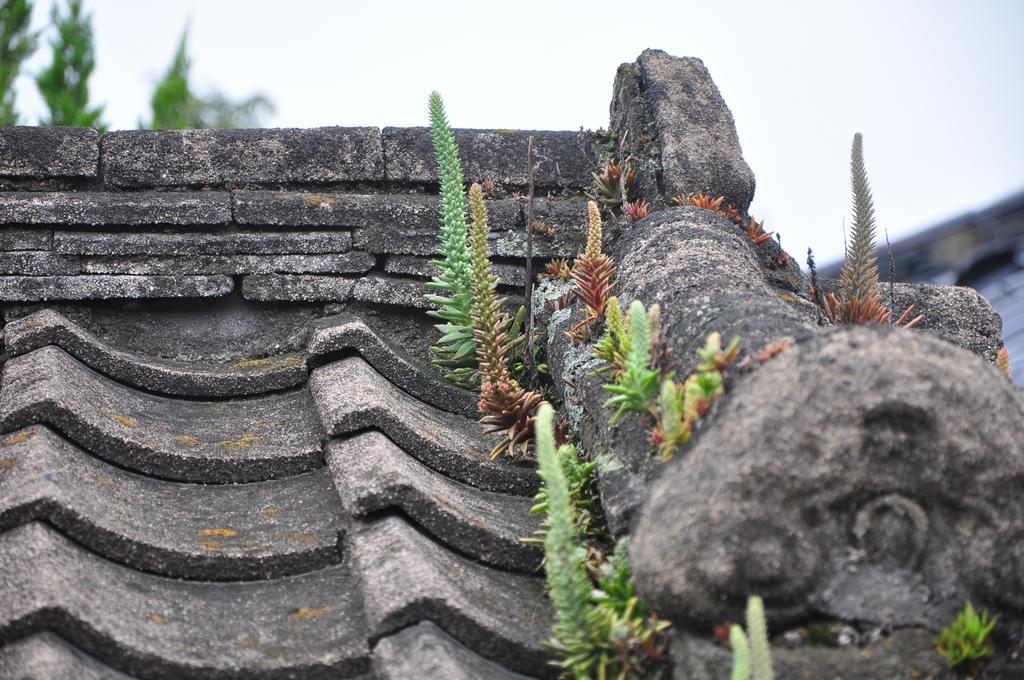 Soi Hanok Stay Гиеонгджу Екстериор снимка